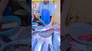 Amazing skin peeling yellowfin tuna shorts [upl. by Molini]