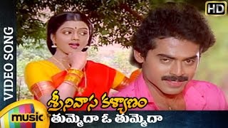 Sri Venkateswara Kalyanam Full Movie [upl. by Axel]