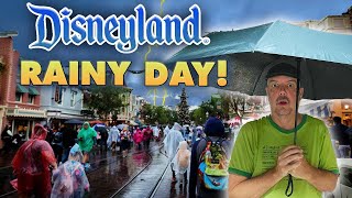 Rainy Days are BACK at Disneyland but crowds DONT CARE [upl. by Atnoid]