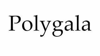 How to Pronounce Polygala [upl. by Quartas]