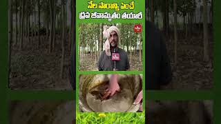 నేల సారాన్ని పెంచే ద్రవ జీవామృతం తయారీ  nelatalli hmtvagri naturalfarming organicfarming [upl. by Ycal]