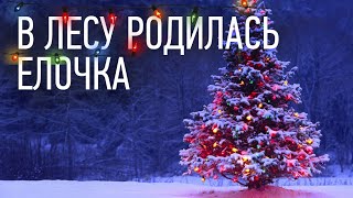 🎄 В лесу родилась Ёлочка  детская новогодняя песня [upl. by Emanuele]