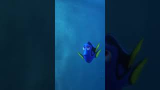 Dory Meets Destiny  A Female Whale Shark And Her Childhood Pipe Pal  Finding Dory Part 34 [upl. by Jamaal]