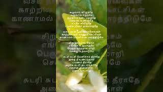 Adhuvaai vizhundhae adhuvaai ezhundhae kuzhandhai nadai pazhavudhae  sudari song lyrics 😍🥰 [upl. by Nylecaj343]