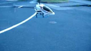 RC helicoper Dragonfly quotDouble Horsequot first flight [upl. by Ebaj]