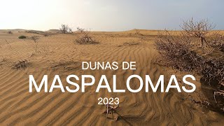 Maspalomas dunesGran Canaria walking tour in August 2023 [upl. by Winters59]