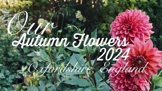 Autumn FlowersEnglish Garden [upl. by Yecniuq]