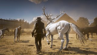 Fastest amp Rarest horse  Red Dead Redemption 2 FHD 60FPS [upl. by Annaoi129]