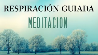 Meditación Pranayama Ejercicios de Respiración [upl. by Pepin]