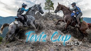 2017 Tevis Cup  Western States Trail [upl. by Acila]