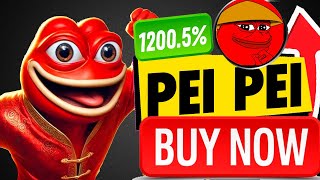 🟢What is PEIPEI Meme Coin🚀PEIPEI Crypto News 2024 [upl. by Evangelin105]