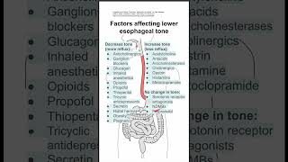 Factors affecting lower esophageal tone [upl. by Alraep]