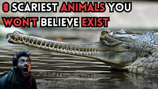 😱😱THE 8 SCARIEST ANIMALS IN THE WORLD [upl. by Enahpad]