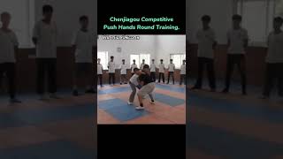 Exploring the Art of Tai Chi Chen Style Tuishou Pushing Hands [upl. by Ianteen]