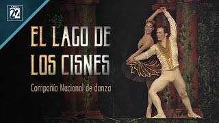 Tchaikovsky El lago de los cisnes Compañía Nacional de Danza [upl. by Callum]