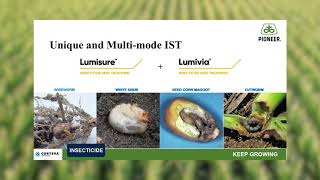 LumiGEN™ Technologies from Pioneer Seed [upl. by Retsevlys]