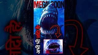 Is Megalodon Shark still alive 🌊🔥 shorts [upl. by Rennat]