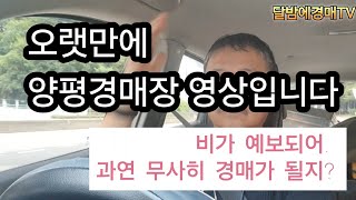 우중 양평경매장 모습 경매정보 골동품 만물경매 유튜브경매 근대사 도자기 도깨비 만물경매경매 [upl. by Burrow]