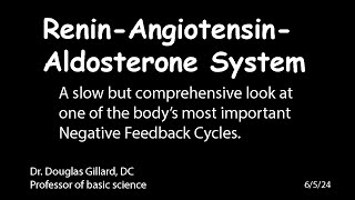 ReninAngiotensinAldosterone System for Beginners [upl. by Lehcsreh435]