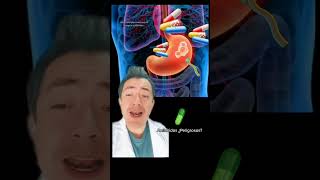 Antiacidos ¿Peligrosos Parte 1 salud medicina doctor gastritis omeprazol reflujo fypシ short [upl. by Desiree]