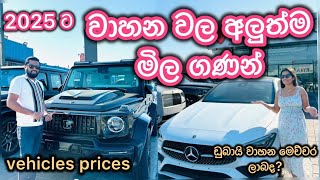 2025 එන අලුත්ම වාහන වල මිල ගණන්sldiario4462 cars prices [upl. by Reidid140]