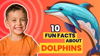 Dolphin10 Fun Facts About Dolphins For Kids [upl. by Aig]