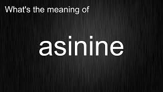 Whats the meaning of quotasininequot How to pronounce asinine [upl. by Muriel756]