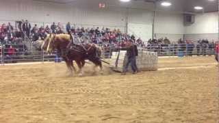 Orangeville Horses Pull 18000 lbs 2013 [upl. by Notslar]