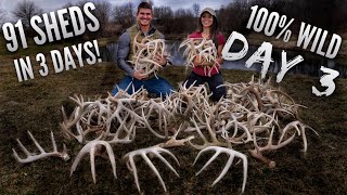 Day 3 of Finding 91 SHEDS IN 3 DAYS  Bowmar Bowhunting [upl. by Kylander]