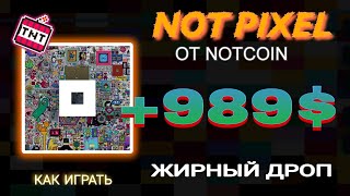 💲ЗАРАБОТОК NOT PIXELОТ NOTCOIN🔥БЕЗ ВЛОЖЕНИЙ [upl. by Naejamron622]