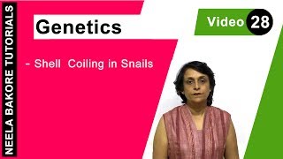 Genetics  Principles of Inheritance amp Variations  NEET  Shell Coiling in Snails  Neela Bakore [upl. by Holtz]