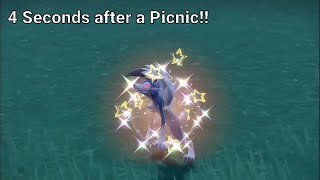 Fastest Shiny Encounter Ever 4 second Shiny Midnight Lycanroc [upl. by Redwine]