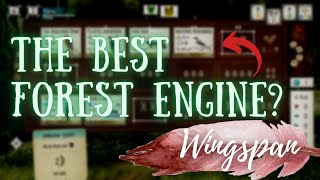 Wingspan Strategy  How to build the best engine in forest [upl. by Edouard371]