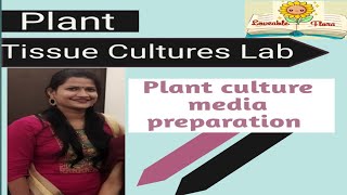 How to prepare Plant culture media  MS media for tissue culture tissueculture plantgrowth [upl. by Joycelin]