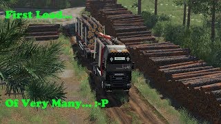 FS19  Forestry On Holmåkra  First Load  Timelapse  S02 EP22 [upl. by Llednol]