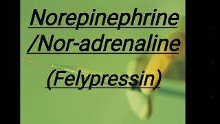 Norepinephrine Noradrenaline  Felypressin [upl. by Essej]