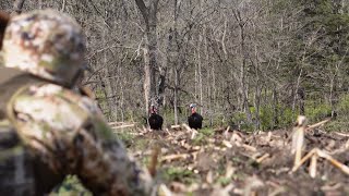 NEBRASKA Turkey Trip 2024  Tagged out [upl. by Hebel]