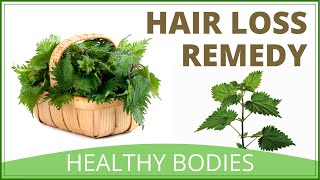 How To Restore Hair Loss Naturally  Stinging Nettle Remedy [upl. by Broderick]