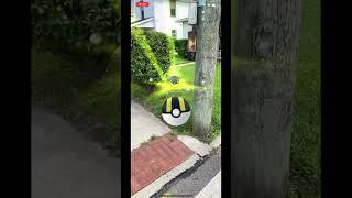 Catching Scatterbug in AR 664 dfm pokemon pokemongo augmentedrealitygame scatterbug fyp [upl. by Ande488]