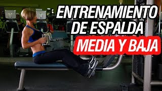 ENTRENAMIENTO DE ESPALDA MEDIA Y BAJA EN EL GYM Entrenamiento de espalda hombre y mujer [upl. by Millan139]