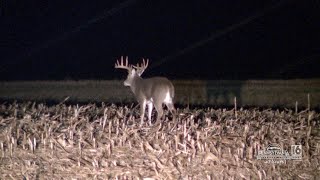 Spotlighting Deer in Columbia County with the Pennsylvania Game Commission [upl. by Caddaric698]