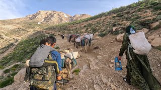 Incredible Iranian Nomadic Migration Journeying to the Mountain Summit in 2023 PART 2 [upl. by Rockwood]