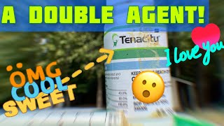 Tenacity THE Coolest Herbicide On The Market Why You Should Try It [upl. by Notniuqal]