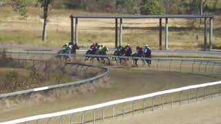 Gayndah 20240608 Race 1 [upl. by Gnilrets726]