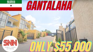 Only 55000 for one of these Beautiful Gantalaha District Homes in Hargeisa [upl. by Nnaitak]