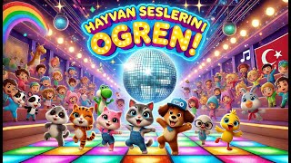 Hayvanlar ve Sesleri Eğlenceli Çocuk Şarkısı ile Öğrenelim 🐥🐶 [upl. by Saideman]