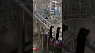 Automatic 12 head spout pouch filling capping machine [upl. by Sammy]