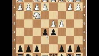 Chess Openings Albin Counter Gambit [upl. by Rolanda]