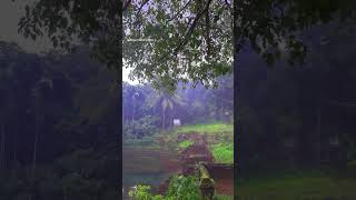 Temples of kerala  Malamalkavu Palakkad [upl. by Ococ]