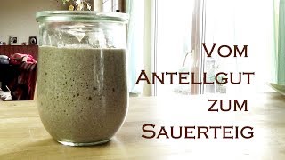 Vollkornbrot Roggenmehl Sauerteig Teil3 Vom Anstellgut zum Sauerteig [upl. by Maloy]